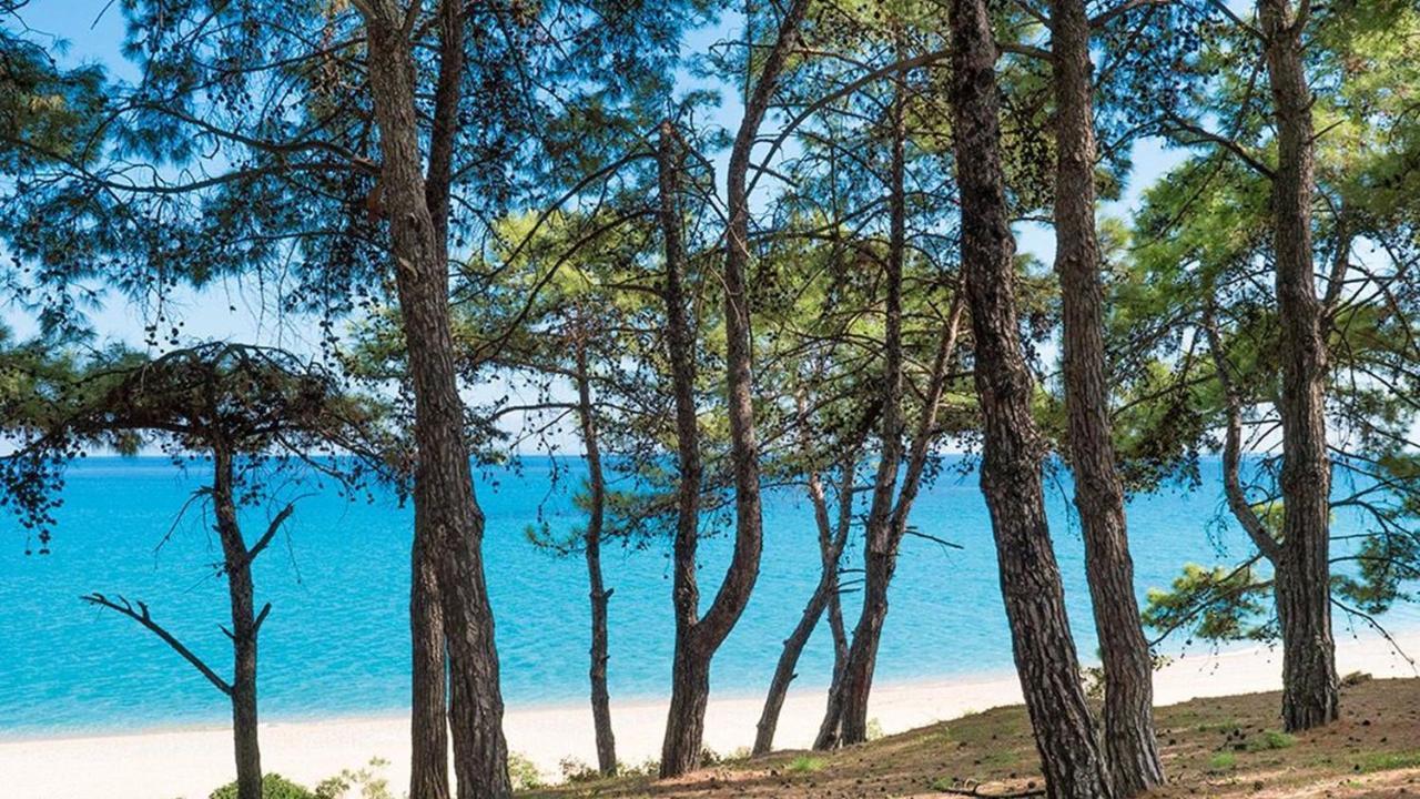 Blue Jasmine Hotel Skala  Luaran gambar